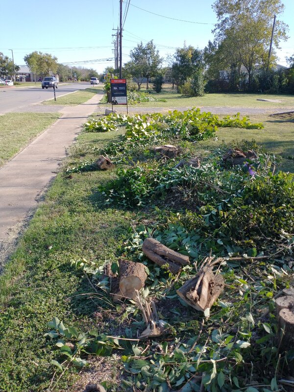 clearing shrubs in Liberty Hill, TX