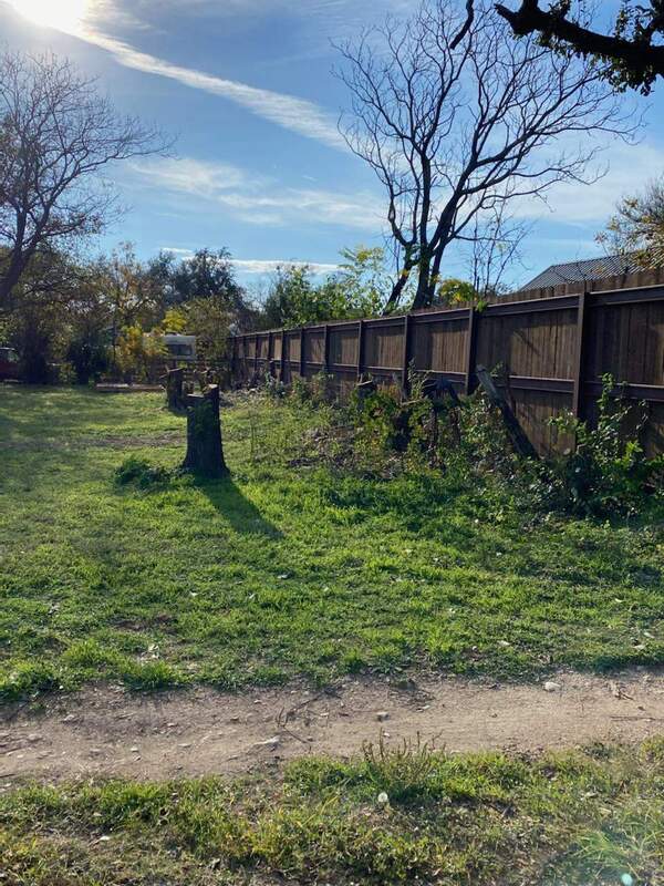 dead tree removal Liberty Hill, TX